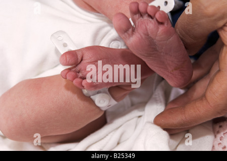 Des profils mains tenant des nouveau-nés les pieds avec des étiquettes d'identification de l'hôpital sur les jambes Banque D'Images