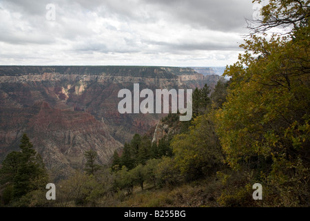 Grand Canyon (North Rim) - vue de North Kaibab Trail Banque D'Images