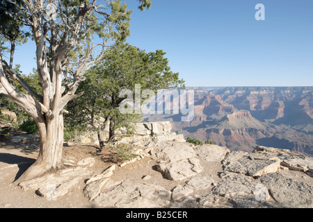 Voir à partir de la rive sud du Grand Canyon en Arizona USA Banque D'Images