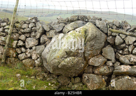 Grand boulder glaciaires à l'intérieur de mur en pierre sèche traditionnelle, dans le Crag Kilnsey Yorkshire Dales, UK Banque D'Images