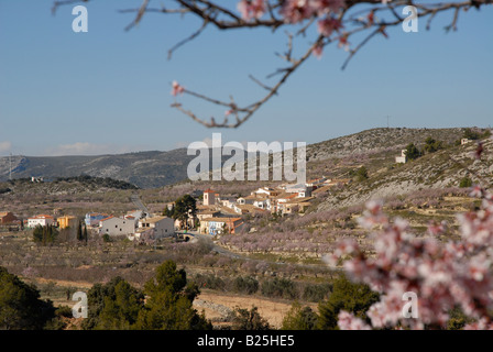 Vue village de Fachecha avec amandier en fleurs, près de l'Fachecha, Province d'Alicante, Communauté Valencienne, Espagne Banque D'Images