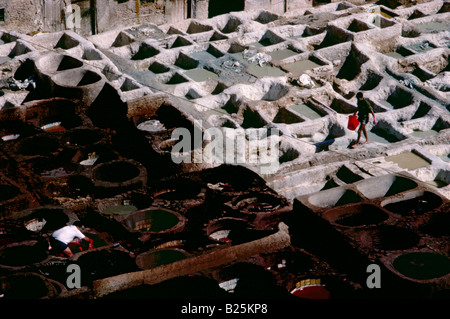 Les hommes et les garçons qui travaillent dans les cuves de teinture à la tannerie dans la médina, dans la vieille ville de Fès Maroc du Nord Banque D'Images