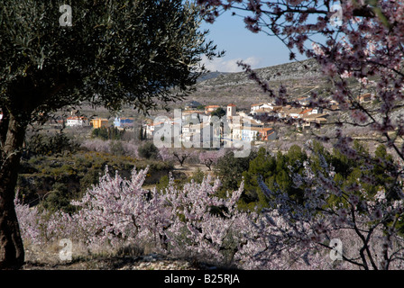 Vue village de Fachecha avec amandier en fleurs, près de l'Fachecha, Province d'Alicante, Communauté Valencienne, Espagne Banque D'Images