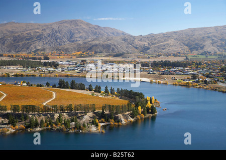 Cornish Point Vineyard and Lake Dunstan Cromwell Central Otago ile sud Nouvelle Zelande Banque D'Images