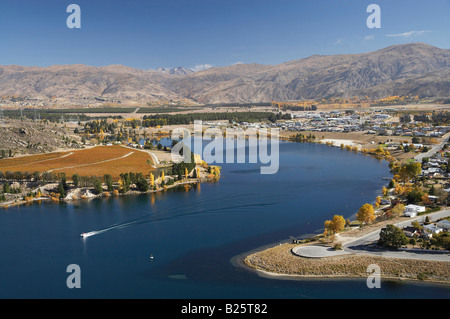 Cornish Point Vineyard and Lake Dunstan Cromwell Central Otago ile sud Nouvelle Zelande Banque D'Images