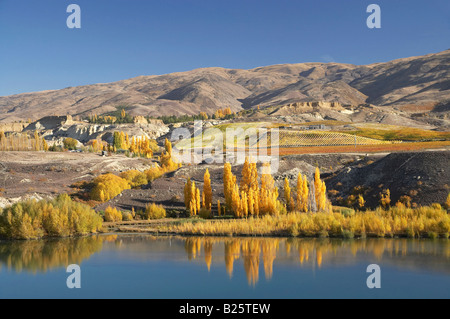 Lake Dunstan et couleurs d'automne Bannockburn Central Otago ile sud Nouvelle Zelande Banque D'Images