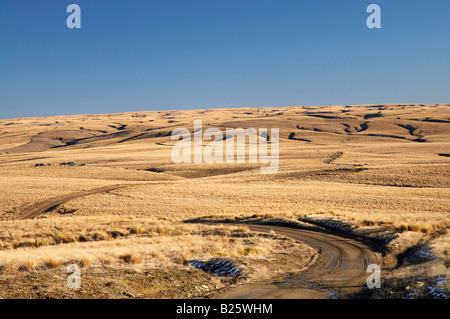 Ancien sentier Dunstan Lammermoor Gamme Central Otago ile sud Nouvelle Zelande Banque D'Images