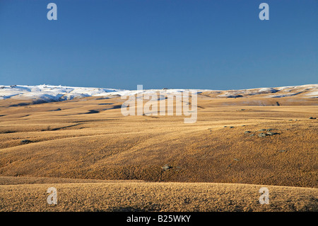 Rock et pilier vieux Gamme Dunstan Trail Central Otago ile sud Nouvelle Zelande Banque D'Images