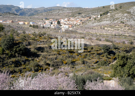 Vue village de Fachecha avec amandier en fleurs, près de l'Fachecha, Province d'Alicante, Communauté Valencienne, Espagne Banque D'Images