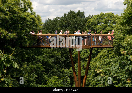 Xstrata Treetop Walkway à Kew Gardens, Londres, Angleterre, Royaume-Uni Banque D'Images