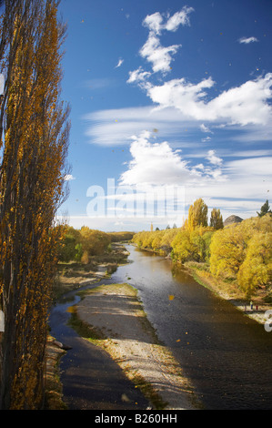 Les feuilles d'automne qui souffle dans le vent fort et la rivière Manuherikia Alexandra Central Otago ile sud Nouvelle Zelande Banque D'Images