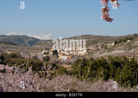 Vue village de Fachecha avec amandier en fleurs, près de l'Fachecha, Province d'Alicante, Communauté Valencienne, Espagne Banque D'Images