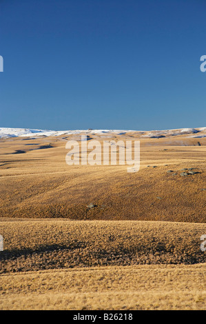 Rock et pilier vieux Gamme Dunstan Trail Central Otago ile sud Nouvelle Zelande Banque D'Images