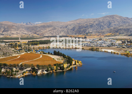 Cornish Point Vineyard and Lake Dunstan Cromwell Central Otago ile sud Nouvelle Zelande Banque D'Images