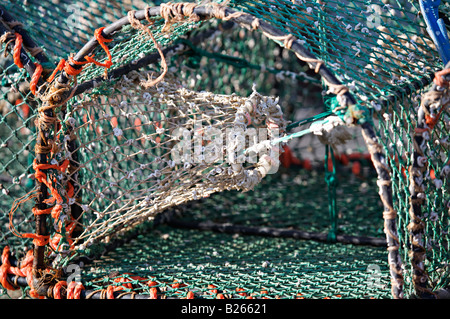 Des casiers à homard sur le port d''Ullapool quay Banque D'Images