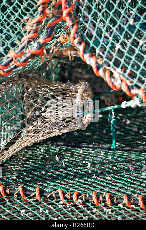 Des casiers à homard sur le port d''Ullapool quay Banque D'Images