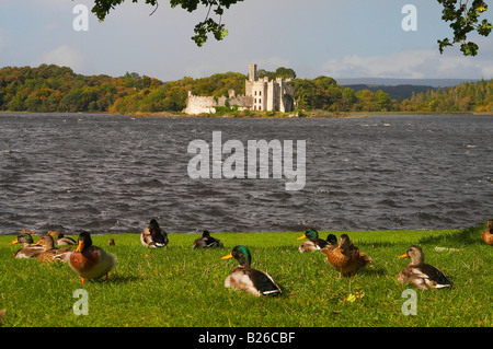 Photo d'extérieur, vue de Lough Key Forest Park sur le Lough Key et île avec ruine, comté de Roscommon, Irlande, Europe Banque D'Images