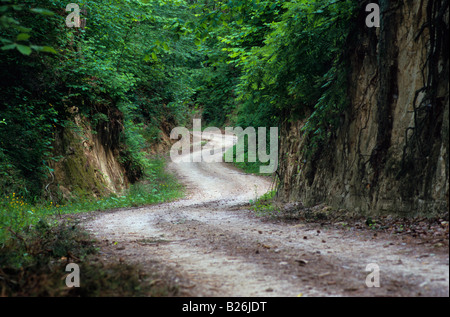 Ravin de loess winding road Banque D'Images