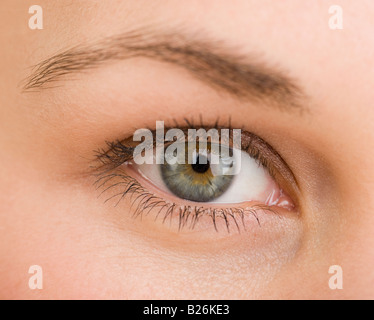 Extreme close up of woman's eye Banque D'Images