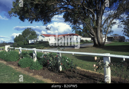 Tirells Winery, Hunter Valley, New South Wales, Australie Banque D'Images