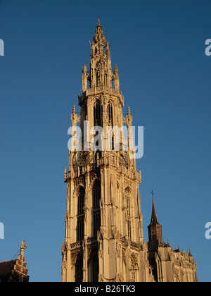 Le clocher de la Grote Kerk grand église cathédrale d'Anvers Banque D'Images