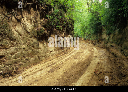 Ravin de loess winding road Banque D'Images