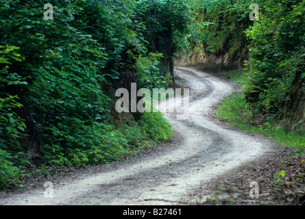 Ravin de loess winding road Banque D'Images