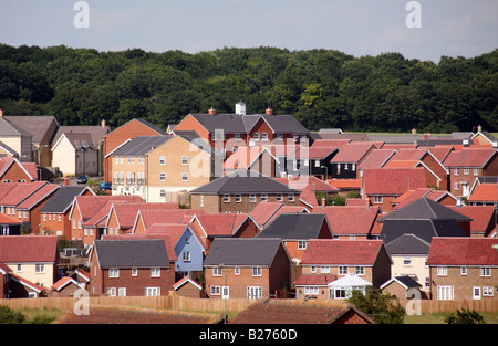 Nouvelle construction de maisons sur ANCIENNES TERRES AGRICOLES DANS Haverhill Suffolk Banque D'Images