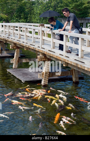 Un couple prend un moment agréable de détente pour se nourrir de poissons koi colorées d'un pont à l'Shirotori Garden à Nagoya au Japon Banque D'Images