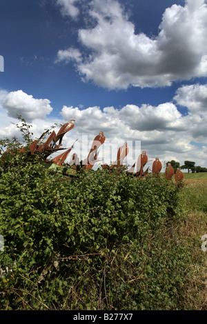 Une vieille charrue rouiller la prolifération dans un champ en georgeimpeyphotographer www légende locale suffolk co uk Banque D'Images