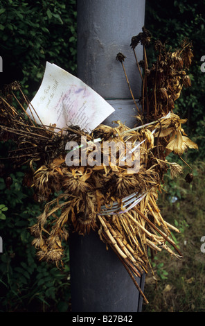 Les fleurs mortes sur les lieux d'un accident de la route mortel Banque D'Images