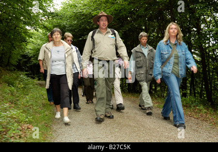 Ranger avec randonnées sur une visite guidée à travers la réserve naturelle du parc national Eifel, Rhénanie du Nord-Westphalie, Allemagne Banque D'Images