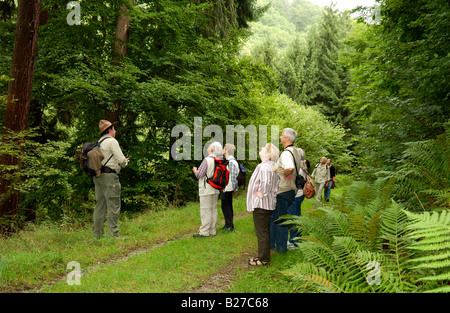 Ranger avec randonnées sur une visite guidée à travers la réserve naturelle du parc national Eifel, Rhénanie du Nord-Westphalie, Allemagne Banque D'Images