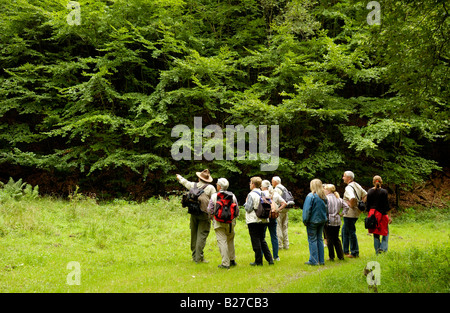 Ranger avec randonnées sur une visite guidée à travers la réserve naturelle du parc national Eifel, Rhénanie du Nord-Westphalie, Allemagne Banque D'Images