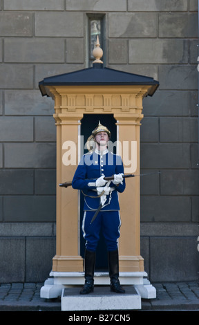 Montée Royale Suédoise Guards Banque D'Images