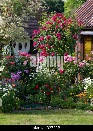 Roses et vivaces dans un allotissement jardin Banque D'Images