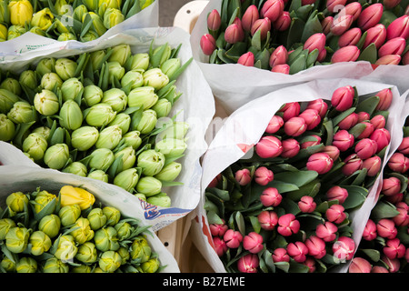 Close-up de fleurs à vendre dans un marché en plein air. Banque D'Images