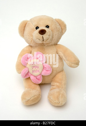 Cute cuddly teddy bar Banque D'Images