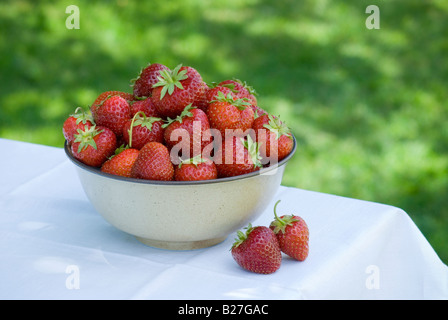 Un bol de fraises fraîchement cueillies sur une table couverte de lin blanc à l'extérieur Banque D'Images