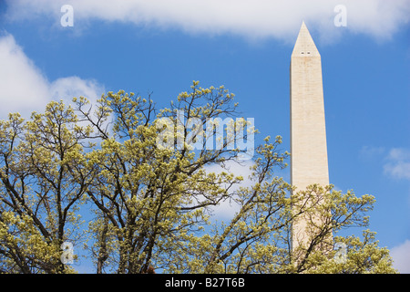 Le Monument de Washington, Washington DC, United States Banque D'Images