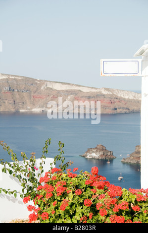 Vue sur le cratère volcanique de l'île grecque géraniums (fleurs) sur la mer méditerranée oia santorini Banque D'Images