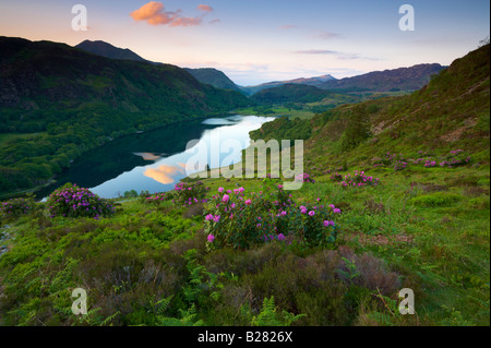 Une soirée d'été au-dessus de Lllyn Dinas dans le parc national de Snowdonia Banque D'Images