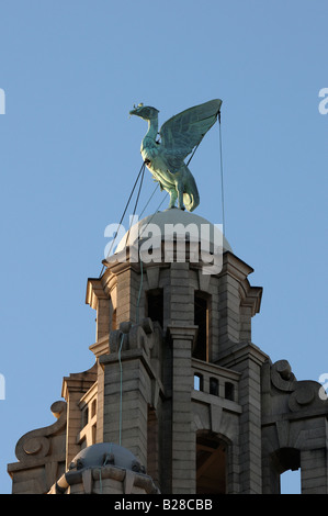 Liverpool Liver Building détail Banque D'Images