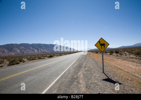 La Recta del Tin Tin, Parque Nacional de Los Cardones, Argentine Banque D'Images