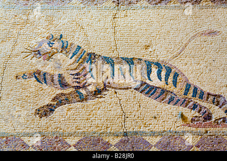 Mosaïque de la Tiger de l'hémisphère sud dans le portique Maison de Dionysos, mosaïques de Pafos, Nea Paphos, Chypre Banque D'Images