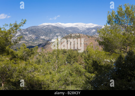 Le mont Olympe sur le massif du Troodos vu de près de Dongo, Chypre Banque D'Images