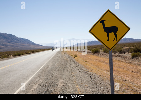 La Recta del Tin Tin, Parque Nacional de Los Cardones, Argentine Banque D'Images