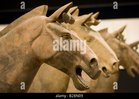 Les chevaux de l'Armée de terre cuite sur l'affichage dans le musée d'histoire de Shaanxi Xian Chine Banque D'Images