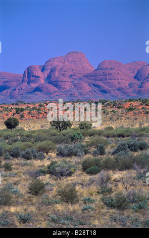 "Les Olgas" Uluru Kata Tjuta Australie centrale Banque D'Images