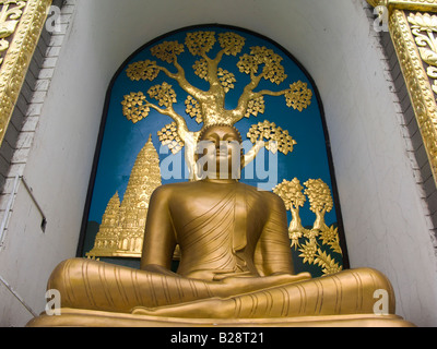 Bouddha assis droit World Peace Pagoda Pokhara Népal Banque D'Images